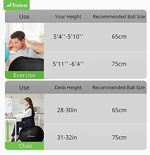 Trideer Ball Chair Yoga Ball Chair Exercise Ball Chair with Base for Home Office Desk, Stability Ball & Balance Ball Seat to Relieve Back Pain, Home Gym Workout Ball for Abs, Pregnancy Ball with Pump - Image 6