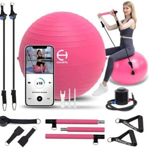 𝗖𝗛𝗔𝗠𝗣𝗬𝗔 𝗘𝘅𝗲𝗿𝘀𝗶𝘀𝗲 𝗕𝗮𝗹𝗹 𝗦𝗲𝘁 for Working out-65cm Non Slip+Puncture Resistant Swiss Ball with Dual Resistance Bands, Hand Grips, Foam Padded Steel Bar, Foot Pump & Workout App.