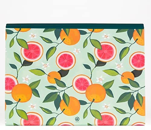 U Brands 13-Pocket Expanding File Folder, Office Supplies, Citrus Squeeze, Brass Hardware, FSC Certified - Image 4