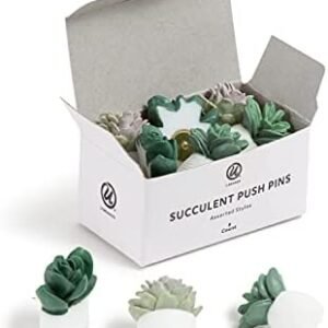 U Brands Succulent Push Pins Set, Office Supplies, Three Assorted Styles, 9 Count